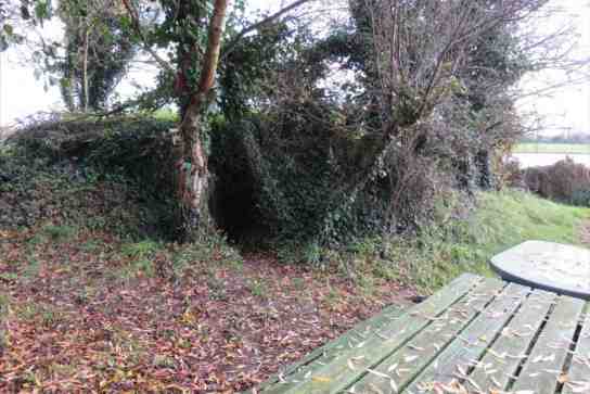 Photo d'illustration de l'annonce N°26317023