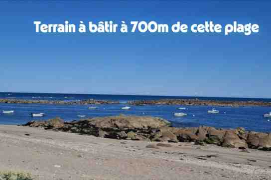 Photo d'illustration de l'annonce N°31962353