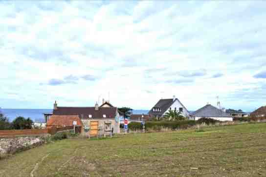 Photo d'illustration de l'annonce N°32053562