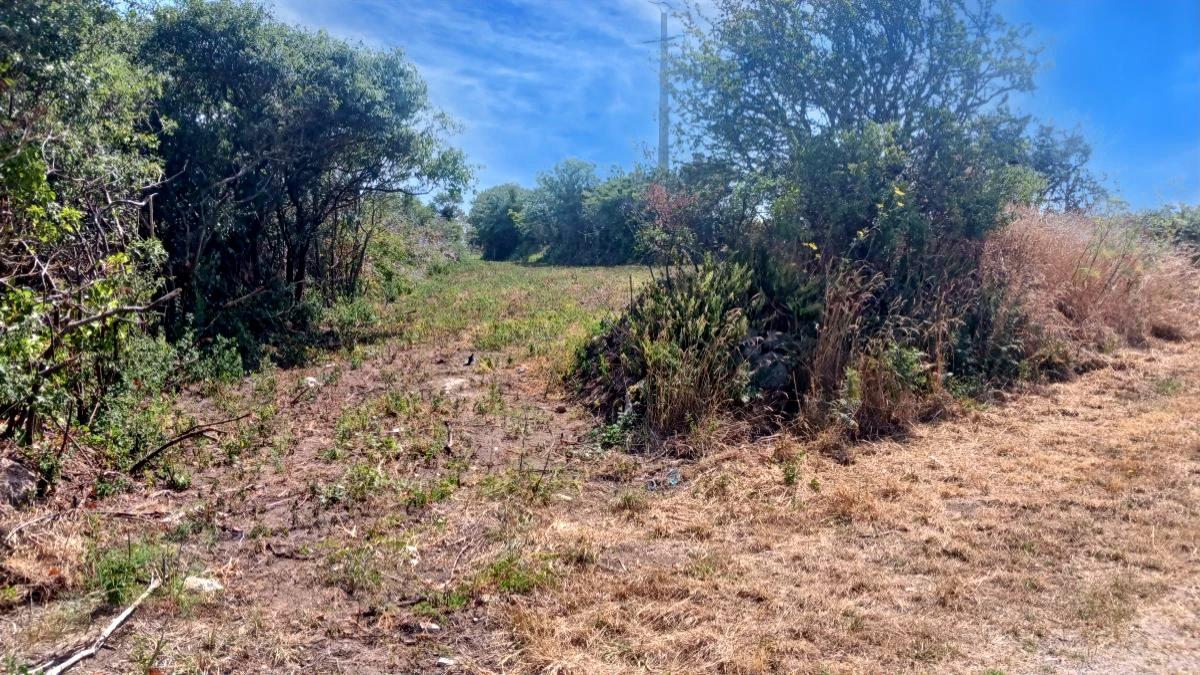 Vente Terrain Vicq-sur-Mer - 69 680€